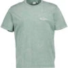 Pepe Jeans, T-Shirt Terell, Baumwolle, Grün -Herrenausstatter Geschaft 448004 norm
