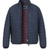 Pierre Cardin, Steppjacke, Mikrofaser Wasserabweisend, Blau